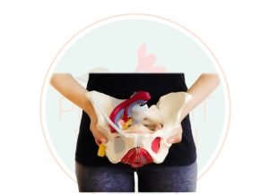 درمان مشکلات کف لگن با فیزیوتراپی